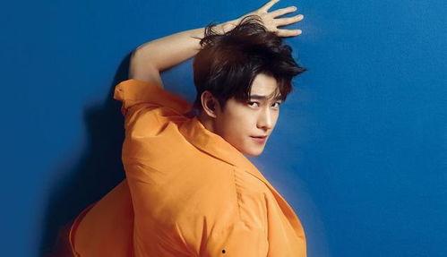 杨洋迪丽热巴最新爆料2024,揭秘明星幕后故事与精彩瞬间